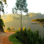 Getting to Bwindi forest National park