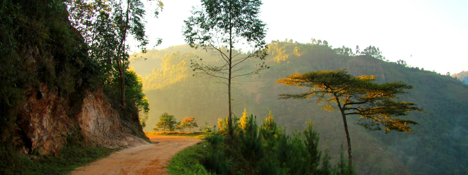 Getting to Bwindi forest National park