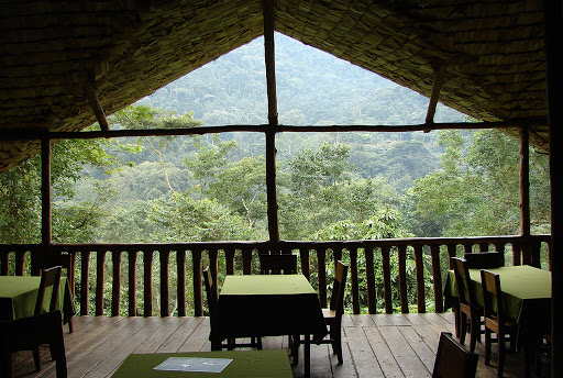 Budget Places to stay in Bwindi