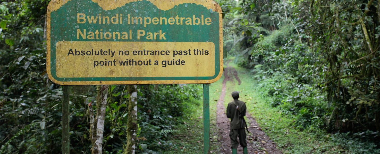 Entrance fees to Bwindi NP