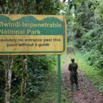 Entrance fees to Bwindi NP