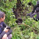 Low season Gorilla Trekking In Bwindi