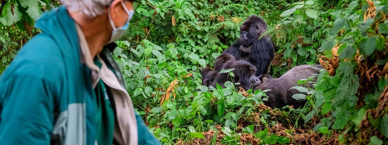 gorilla trekking with Asthma