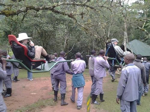 Hiring a sedan chair for gorilla trekking In 2024