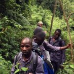 cost of hiring a Porter for gorilla trekking in Bwindi