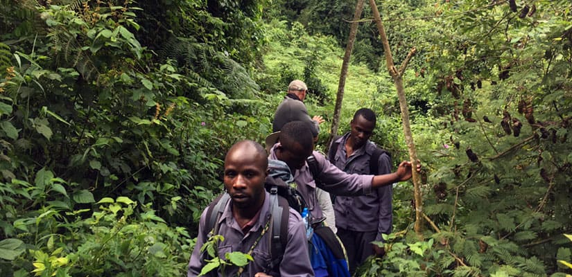 cost of hiring a Porter for gorilla trekking in Bwindi